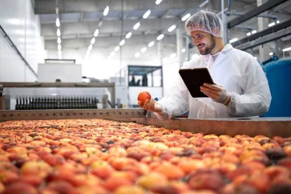 checking produce machine