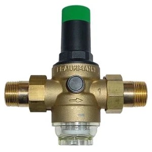  Resideo Braukmann D06F Water Pressure Reducing Valve 