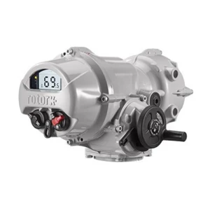  Rotork Iqtf - Full-Turn Actuator 